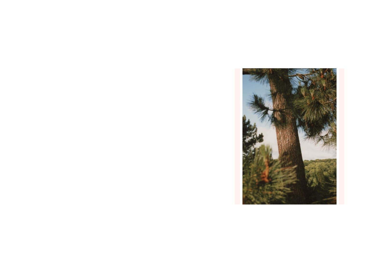 Chevreuse lookbook, plate 9 of 12